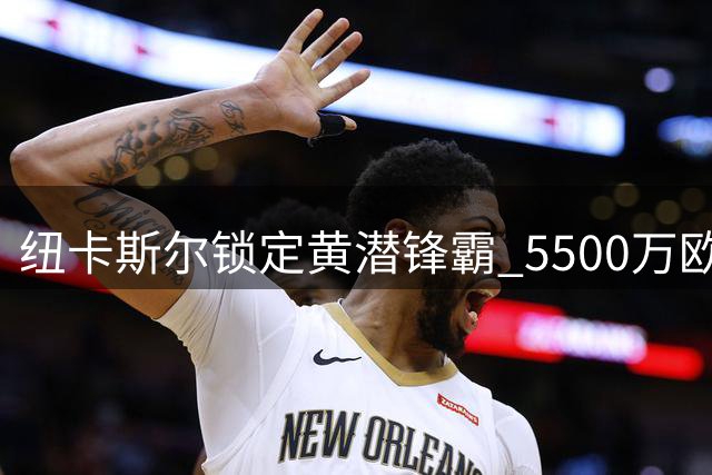 纽卡斯尔锁定黄潜锋霸 5500万欧求购米卡塔泽